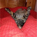 (Arbeits-)Zeit und Digitalisierung